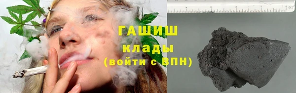 шишки Алзамай