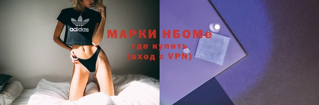 прущие грибы Пестово