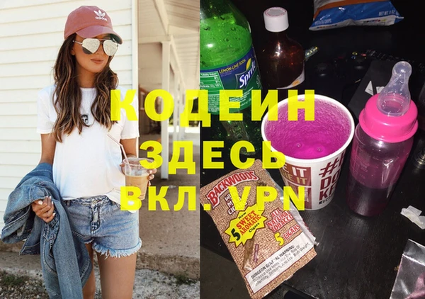 шишки Алзамай
