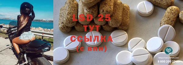 шишки Алзамай