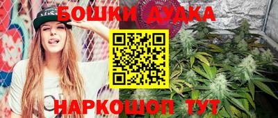 сатива Владикавказ